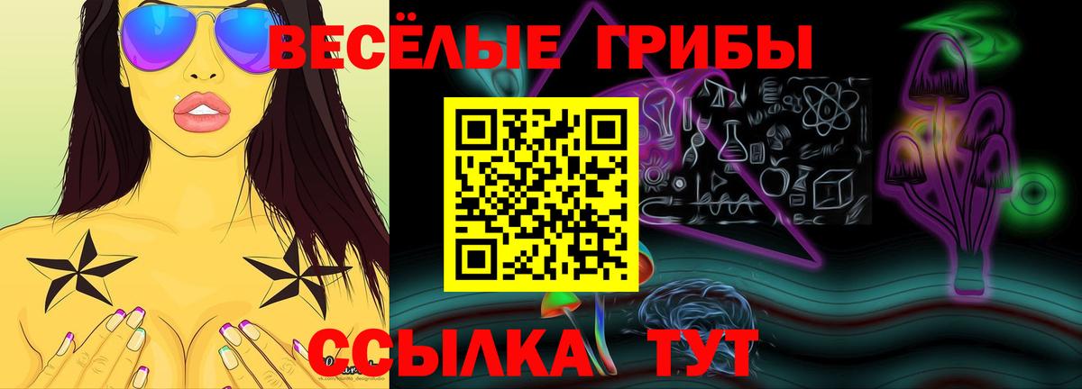 Псилоцибиновые грибы прущие грибы Бугульма