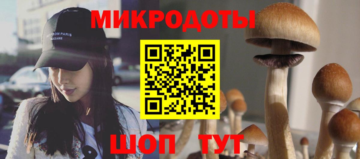 Галлюциногенные грибы MAGIC MUSHROOMS  Вход с VPN  Бугульма 